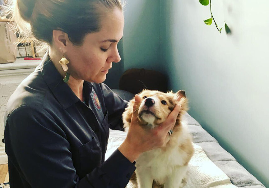 Dr. April providing canine chiropractic care